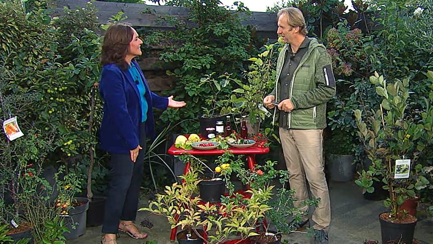 © Eva Pölzl begrüßt Landschaftsplaner Max Schiller. (Foto: ORF) Eva Pölzl begrüßt Landschaftsplaner Max Schiller