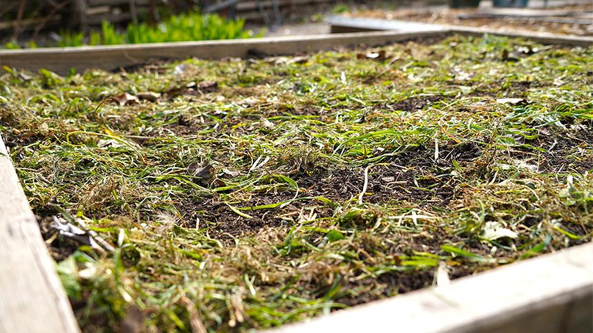Die Gärtnerinnen der Garten Tulln widmen sich der Bodenvorbereitung im Gemüsegarten.