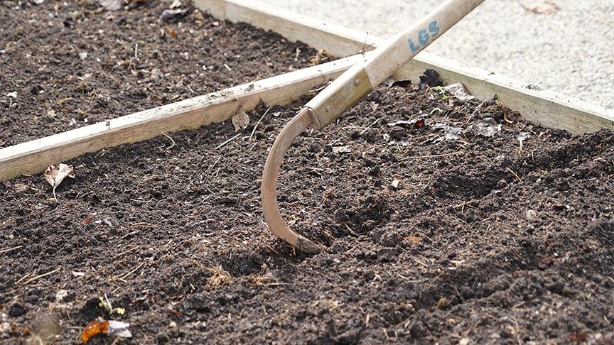 Die Gärtnerinnen der Garten Tulln widmen sich der Bodenvorbereitung im Gemüsegarten.