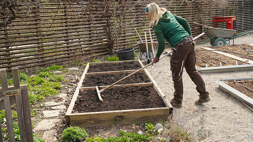 Die Gärtnerinnen der Garten Tulln widmen sich der Bodenvorbereitung im Gemüsegarten.