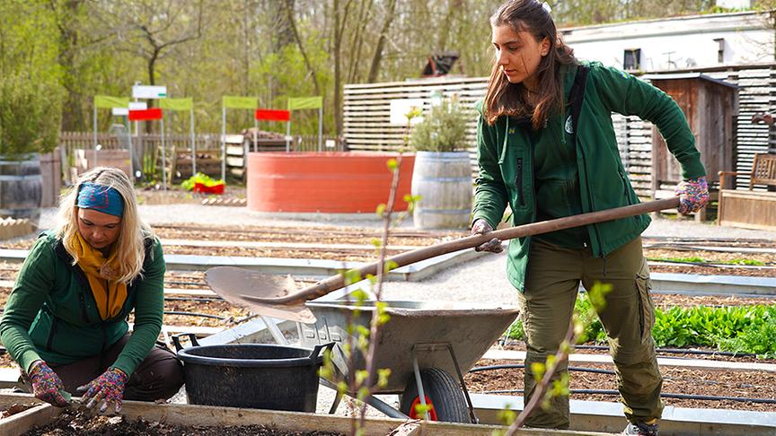 Die Gärtnerinnen der Garten Tulln widmen sich der Bodenvorbereitung im Gemüsegarten.