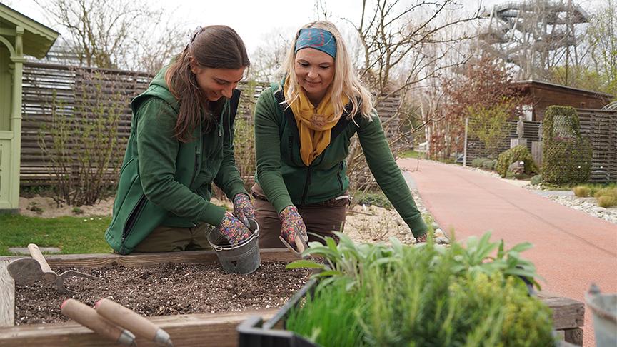 Die Gärtnerinnen der Garten Tulln widmen sich der Bodenvorbereitung im Gemüsegarten.