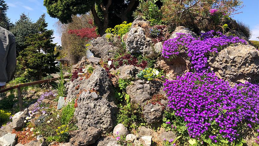 © Natur im Garten/ Leopold Mayrhofer Der Alpingarten von Alfred Zenz