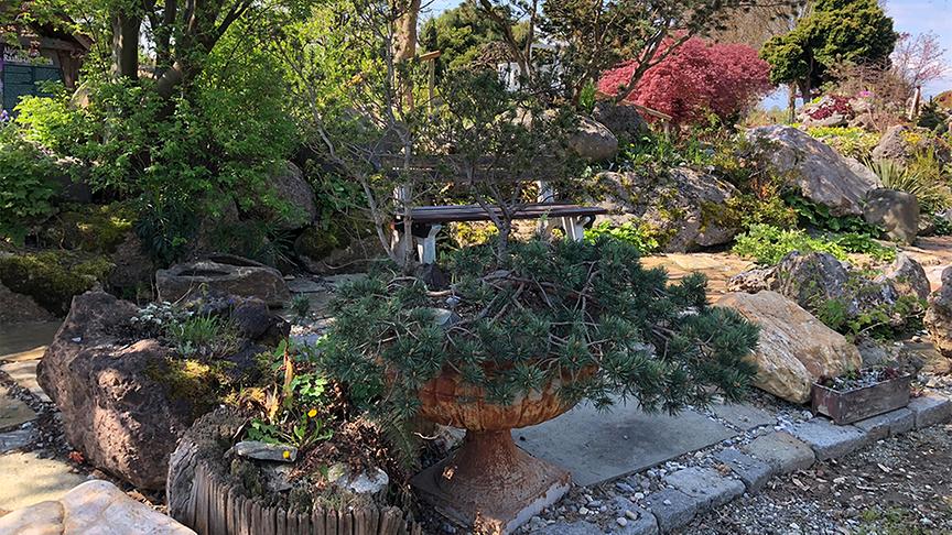© Natur im Garten/ Leopold Mayrhofer Der Alpingarten von Alfred Zenz