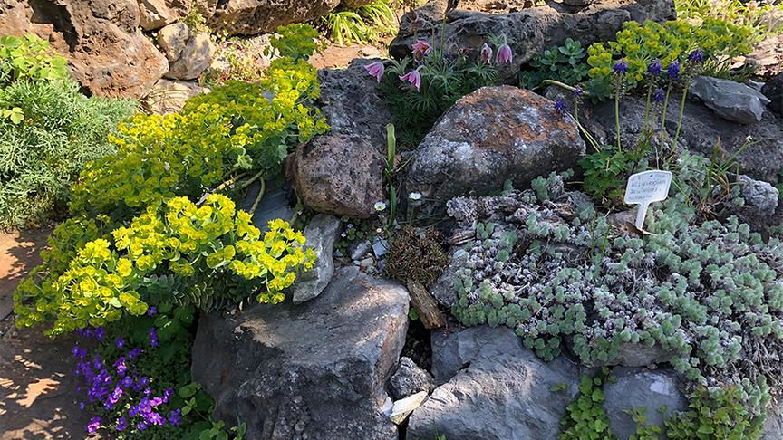 © Natur im Garten/ Leopold Mayrhofer Der Alpingarten von Alfred Zenz