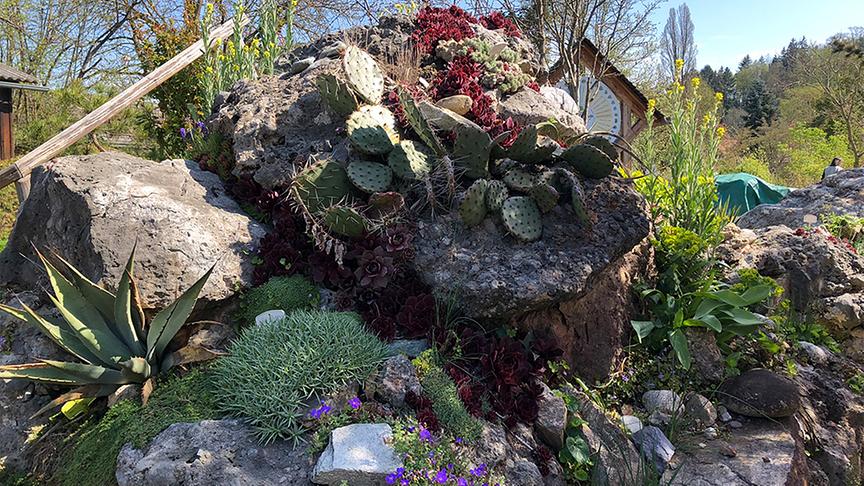 © Natur im Garten/ Leopold Mayrhofer Der Alpingarten von Alfred Zenz
