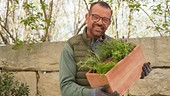 Karl Ploberger pflanzt ein Balkonkisterl