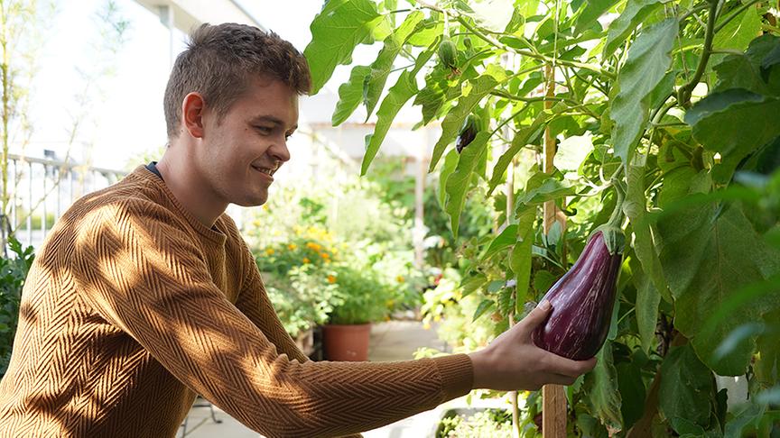 Die Dachterrasse von Florian Hödlmoser
