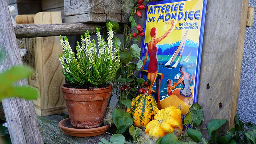 Die Dachterrasse von Florian Hödlmoser