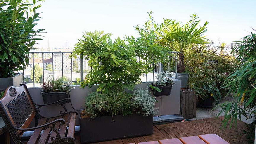 Die Dachterrasse von Florian Hödlmoser