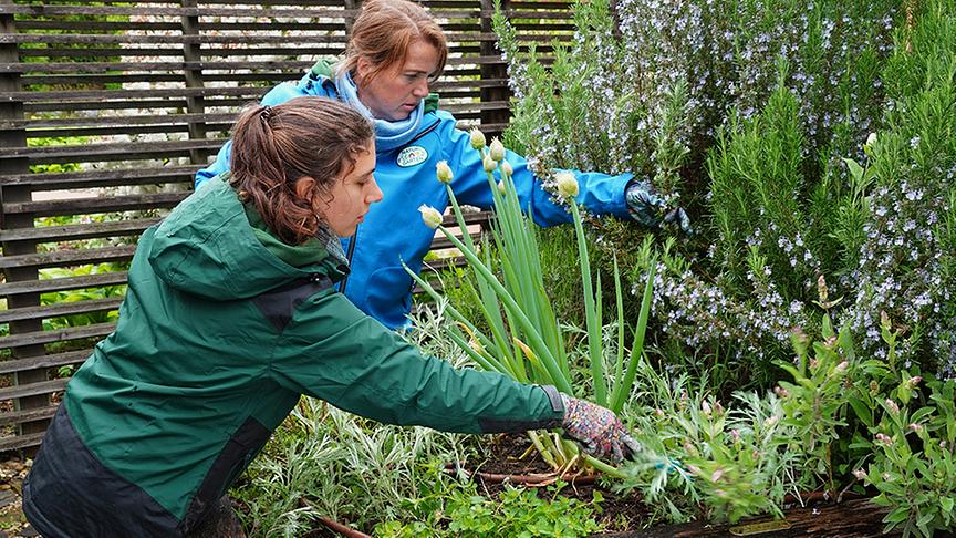 © Natur im Garten/ Leopold Mayrhofer Die Gärtnerinnen der Garten Tulln legen einen sensorischen Therapiegarten an