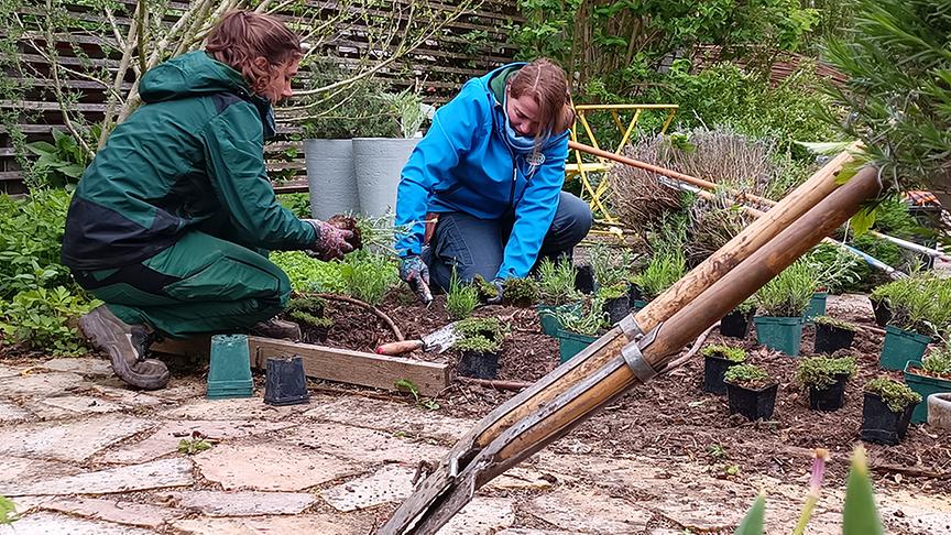 © Natur im Garten/ Leopold Mayrhofer Die Gärtnerinnen der Garten Tulln legen einen sensorischen Therapiegarten an