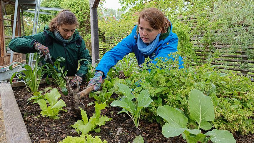 © Natur im Garten/ Leopold Mayrhofer Die Gärtnerinnen der Garten Tulln legen einen sensorischen Therapiegarten an