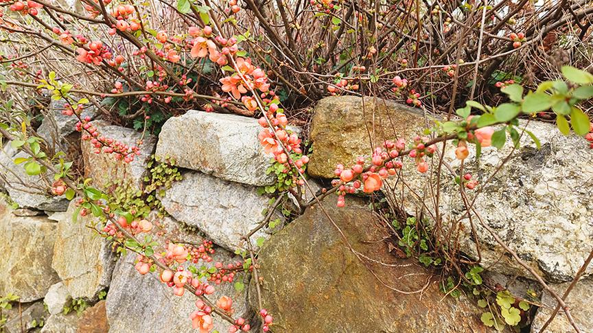 Die Gärtnerinnen der Garten Tulln beim Anlegen von Nützlingsräumen
