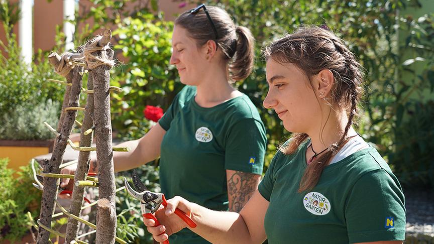 © Natur im Garten/ Leopold Mayrhofer Die Gärtnerinnen der Garten Garten Tulln bauen ein bewachsenes Spalier aus Schnittgut.