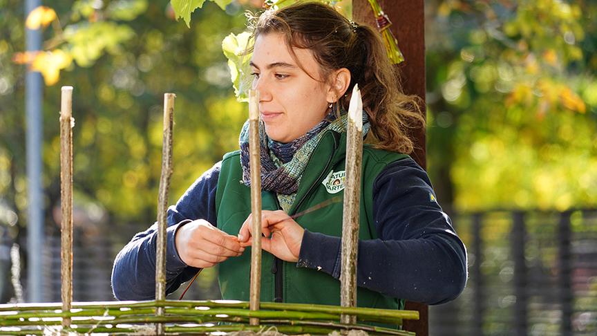 Hier entsteht ein Zaun aus Weidenruten.