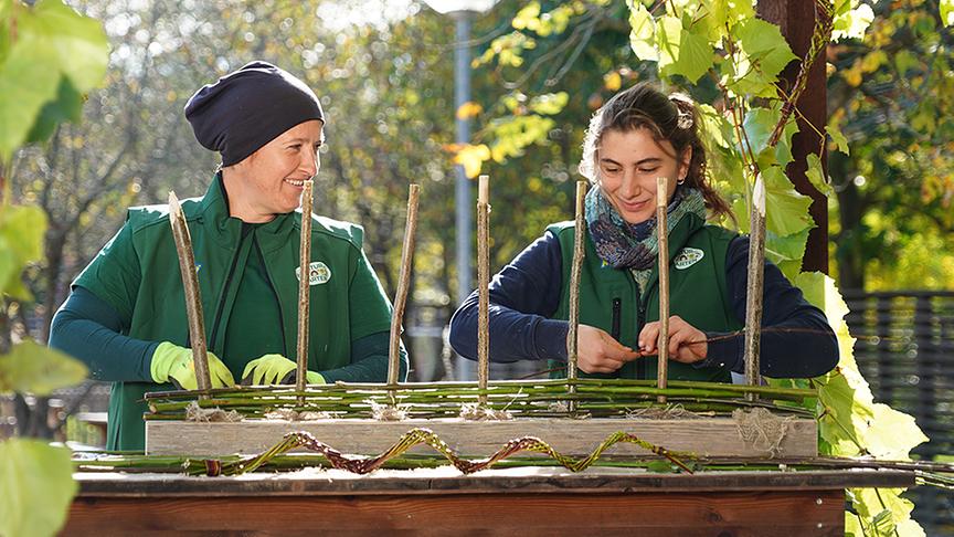 Hier entsteht ein Zaun aus Weidenruten.