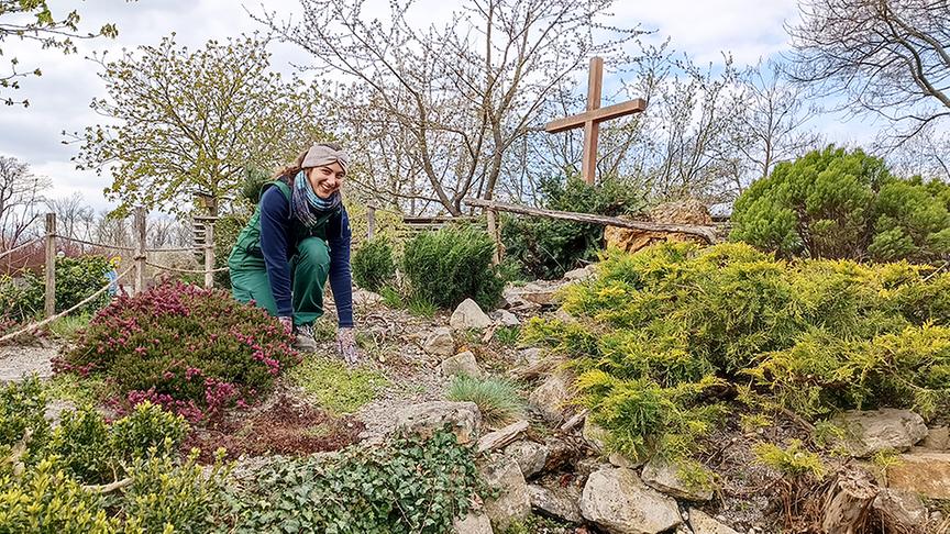Die Gärtnerinnen machen auf der Garten Tulln das Alpinum frühlingsfit.
