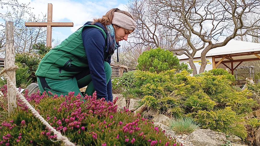 Die Gärtnerinnen machen auf der Garten Tulln das Alpinum frühlingsfit.