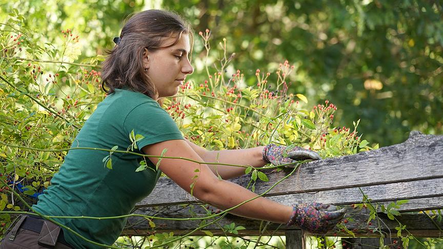 Die Gärtnerinnen der Garten Tulln im Augartenparadies