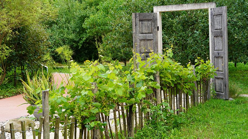 © Natur im Garten/ Leopold Mayrhofer Die Gärtnerinnen der Garten Tulln gestalten einen Bibelgarten
