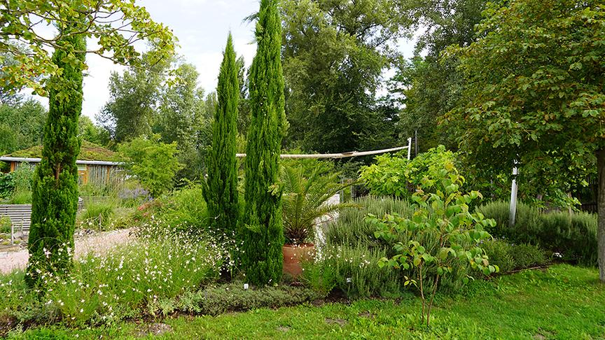 © Natur im Garten/ Leopold Mayrhofer Die Gärtnerinnen der Garten Tulln gestalten einen Bibelgarten