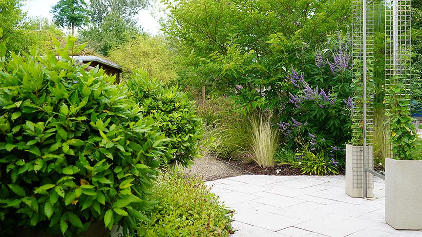 © Natur im Garten/ Leopold Mayrhofer Die Gärtnerinnen der Garten Tulln gestalten einen Bibelgarten