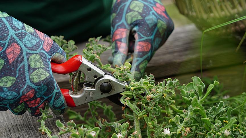 © Natur im Garten/ Leopold Mayrhofer Die Gärtnerinnen der Garten Tulln bei der Gestaltung