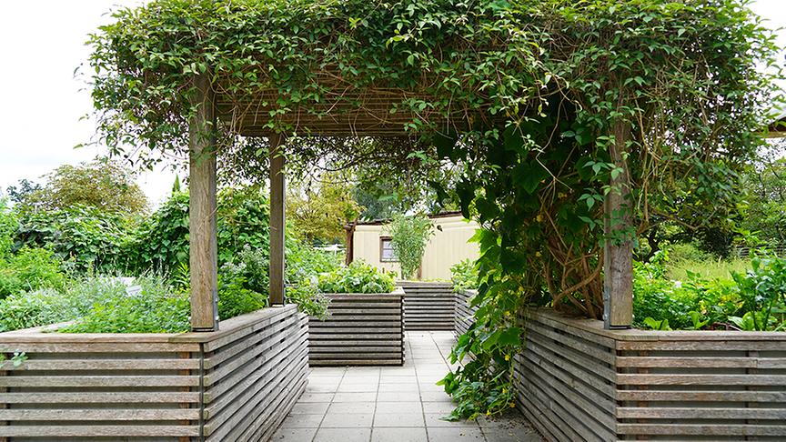 © Natur im Garten/ Leopold Mayrhofer Die Gärtnerinnen der Garten Tulln bei der Gestaltung