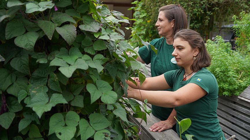 © Natur im Garten/ Leopold Mayrhofer Die Gärtnerinnen der Garten Tulln bei der Gestaltung