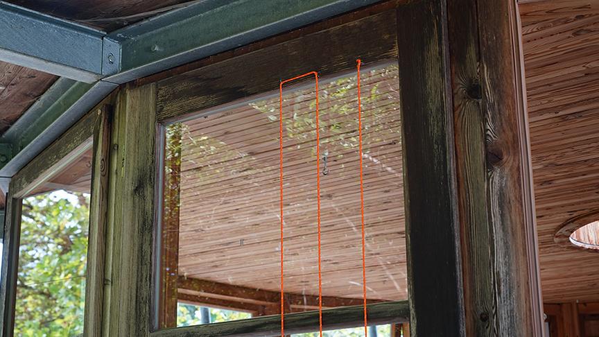 Vogelsichere Schutzmaßnahme gegen Aufprall auf der Glasfläche.