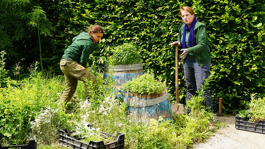 Die Gärtnerinnen der Garten Tulln bauen ein Hochbeet für Gemüseraritäten
