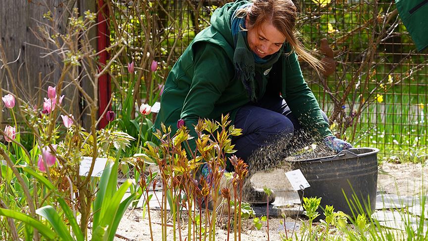 Die Gärtnerinnen der Garten Tulln