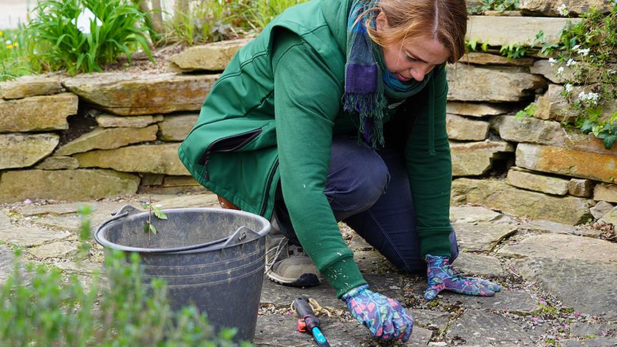 Die Gärtnerinnen der Garten Tulln