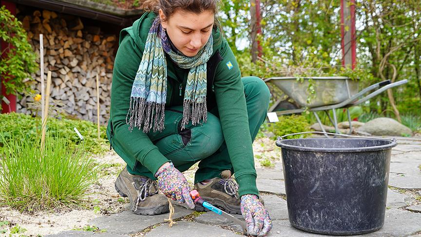 Die Gärtnerinnen der Garten Tulln