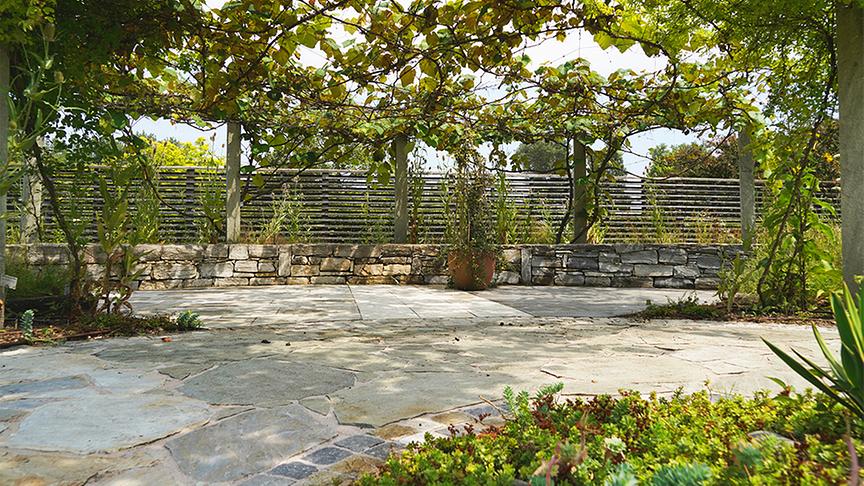 Die Gärtnerinnen der Garten Tulln stellen den Kletterpflanzengarten vor