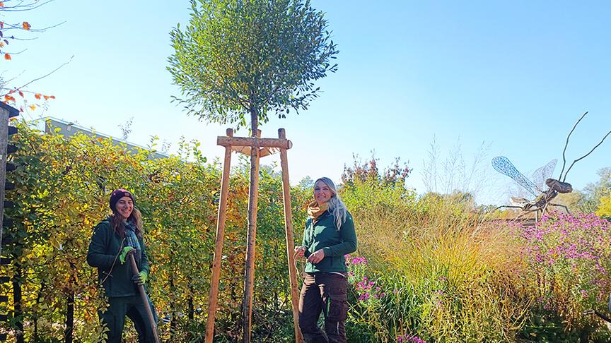 © Natur im Garten/ Leopold Mayrhofer Auf der Garten Tulln werden klimafitte Bäume gepflanzt.
