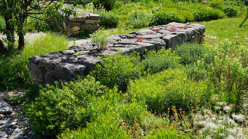Auf der Garten Tulln wird ein Klimawandelgarten angelegt
