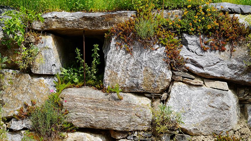 Auf der Garten Tulln wird ein Klimawandelgarten angelegt
