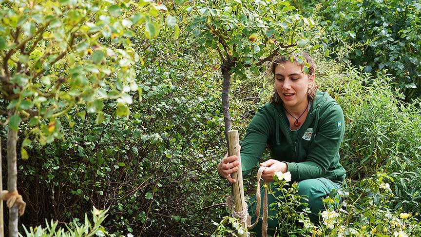 © Leopold Mayrhofer/Natur im Garten  Im Kompetenzzentrum Gartenbau werden neue und beliebte Gartenpflanzen präsentiert.