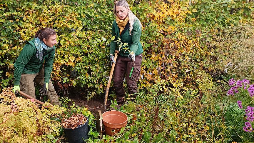 © Foto: Natur im Garten/ Leopold Mayrhofer Für Salamander, Kröte und Co. werden schattige und feuchte Nischen und Verstecke angelegt.