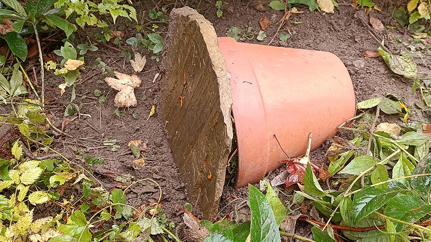 © Foto: Natur im Garten/ Leopold Mayrhofer Für Salamander, Kröte und Co. werden schattige und feuchte Nischen und Verstecke angelegt.