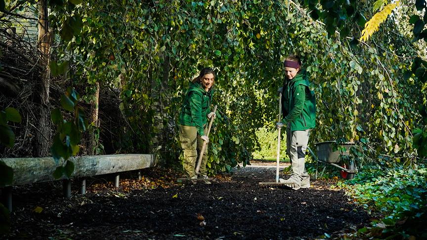 Auf der Garten Tulln wird ein Nebelgarten gestaltet