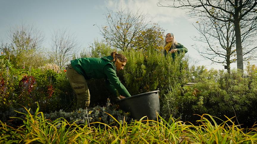 Auf der Garten Tulln wird ein Nebelgarten gestaltet