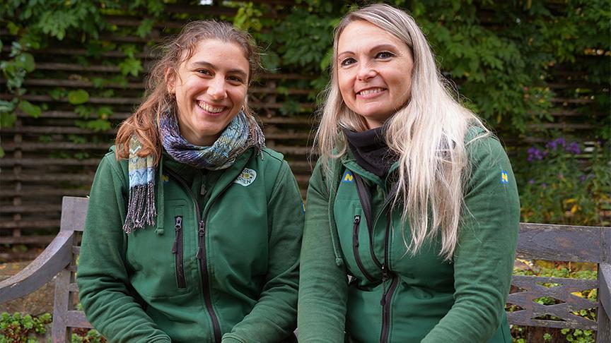 Auf der Garten Tulln wird platzsparendes Säulenobst gepflanzt.