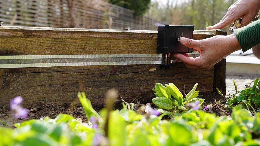 Die Gärtnerinnen der Garten Tulln bringen einen Schneckenschutz an.
