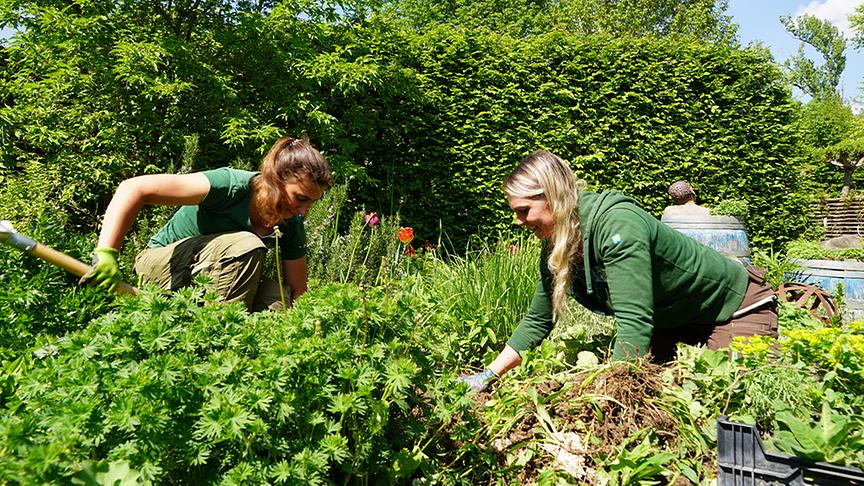 © Foto: Natur im Garten/ Leopold Mayrhofer Gärtnerinnen der Garten Tulln