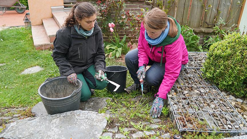 © Leopold Mayrhofer/ Natur im Garten Auf der Garten Tulln wird ein Terrassengarten angelegt