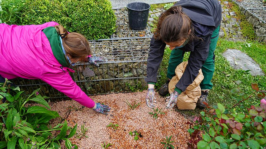 © Leopold Mayrhofer/ Natur im Garten Auf der Garten Tulln wird ein Terrassengarten angelegt