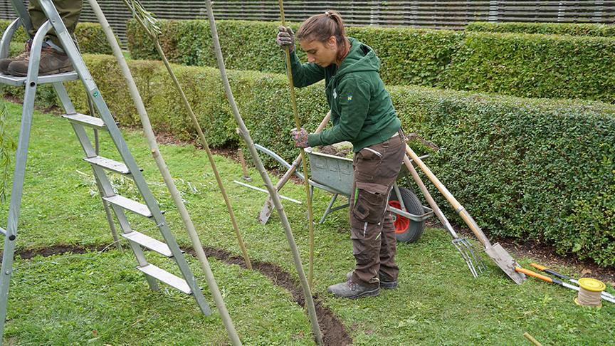 Mit einer Eisenstange werden Löcher in den Kreis geschlagen, damit der Weidenzweig möglichst tief eingesetzt werden kann.